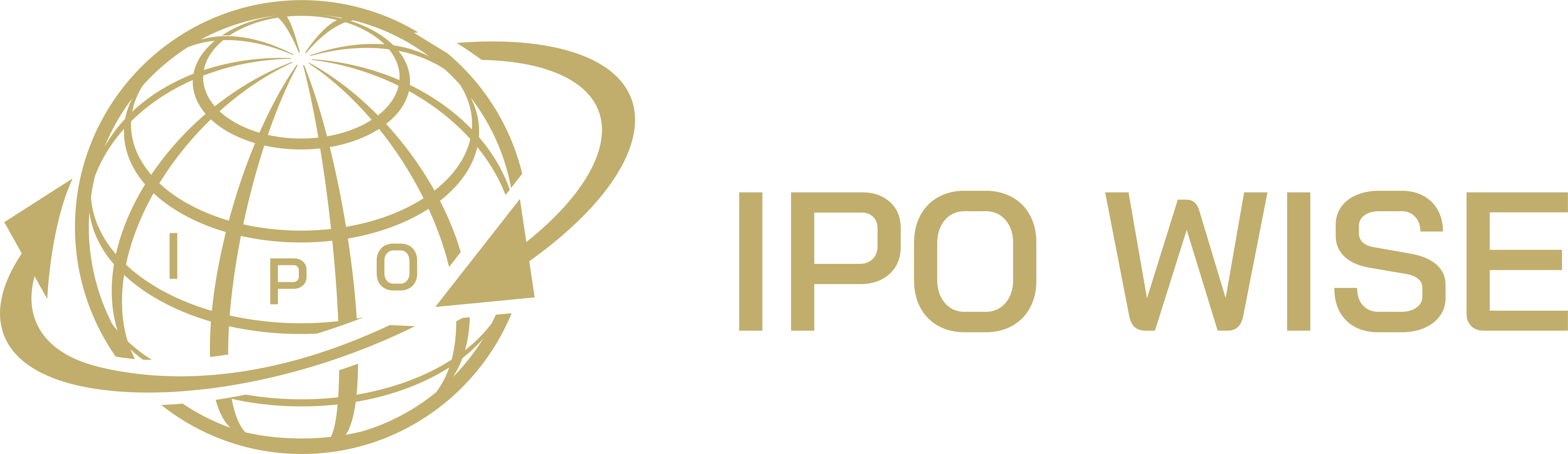 IPO Wise Logo